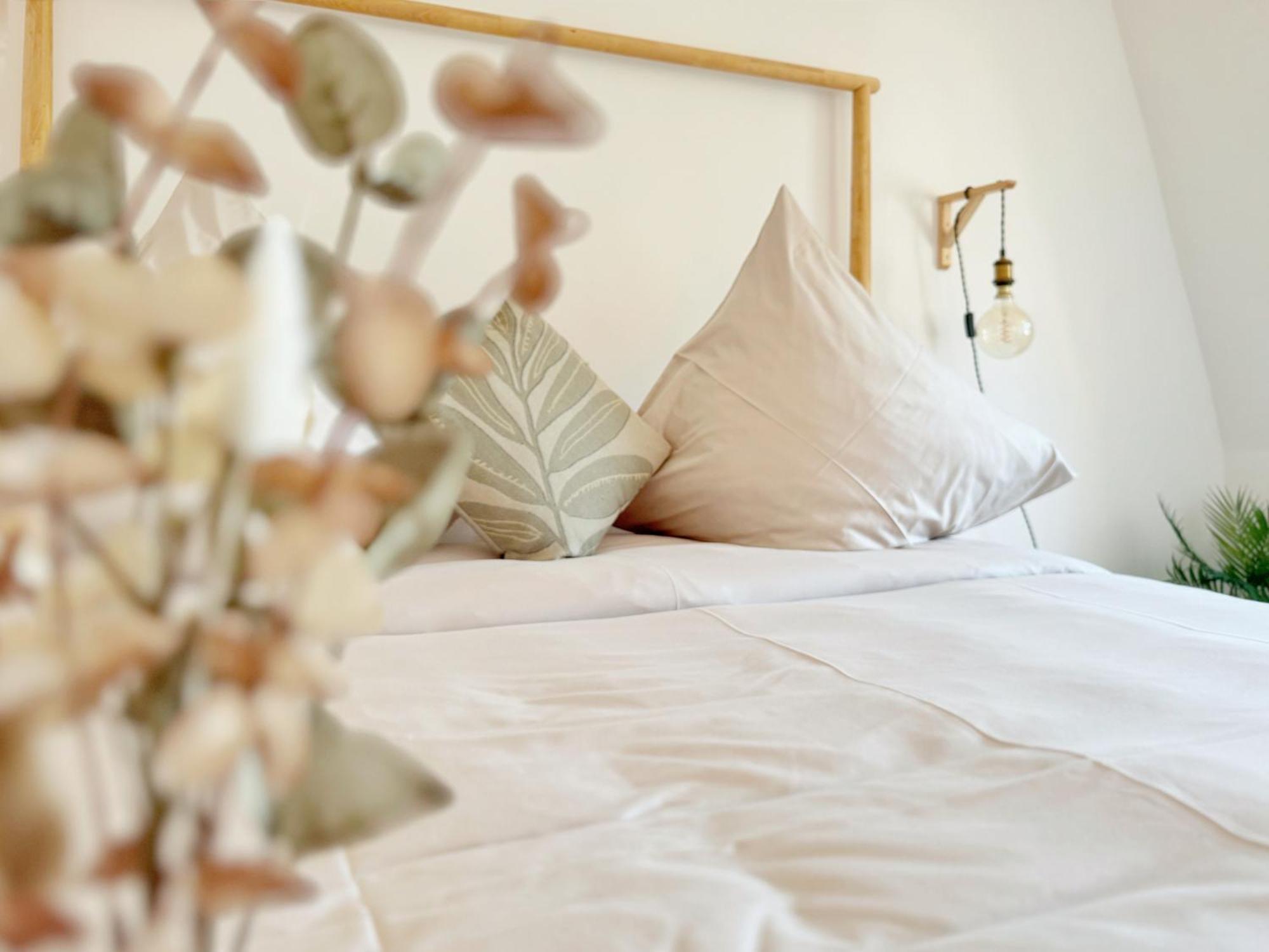 Deichstadt Apartments Neuwied Zewnętrze zdjęcie